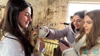 Girne Amerikan Üniversitesi Öğrencileri Yetiştirme Çiftliğinde Harikalar Yaratıyor
