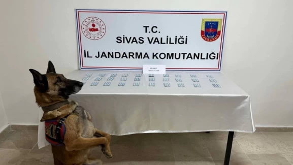 Lefkosa Jandarma Uyuşturucu Madde Yakaladı!